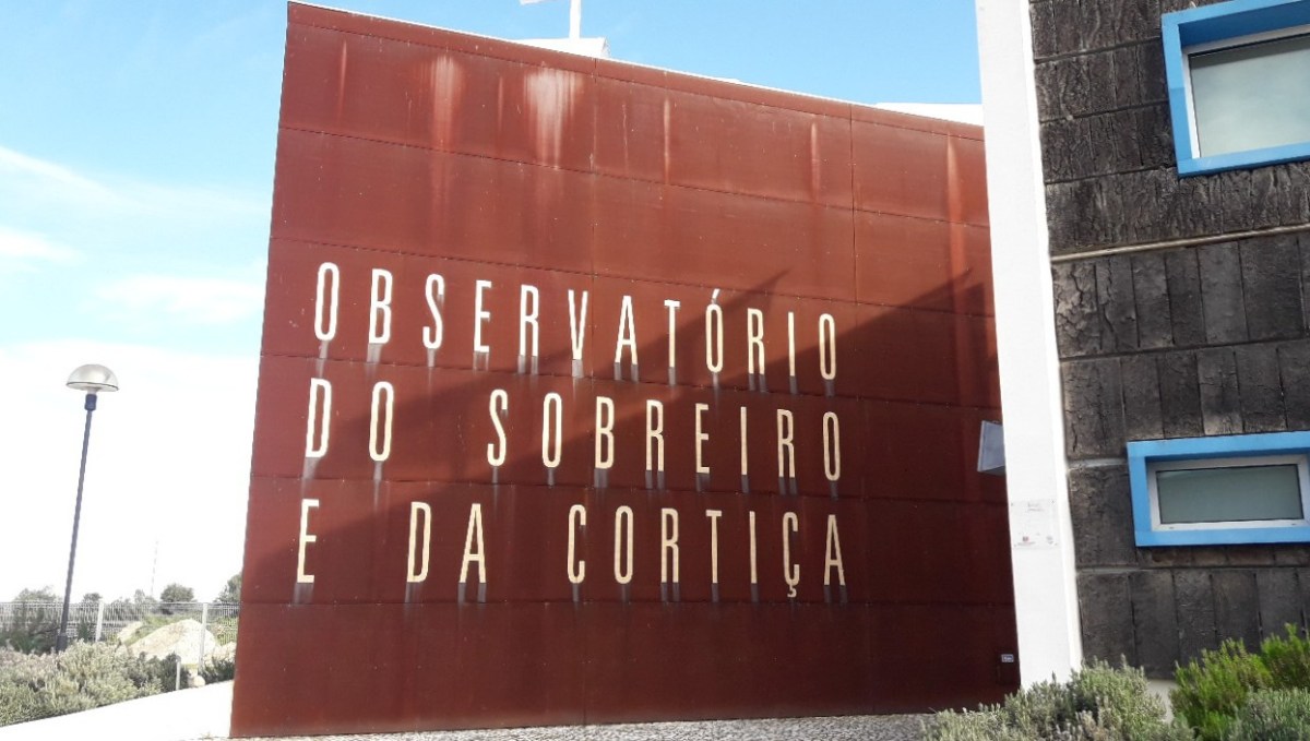 O país da&nbsp;cortiça