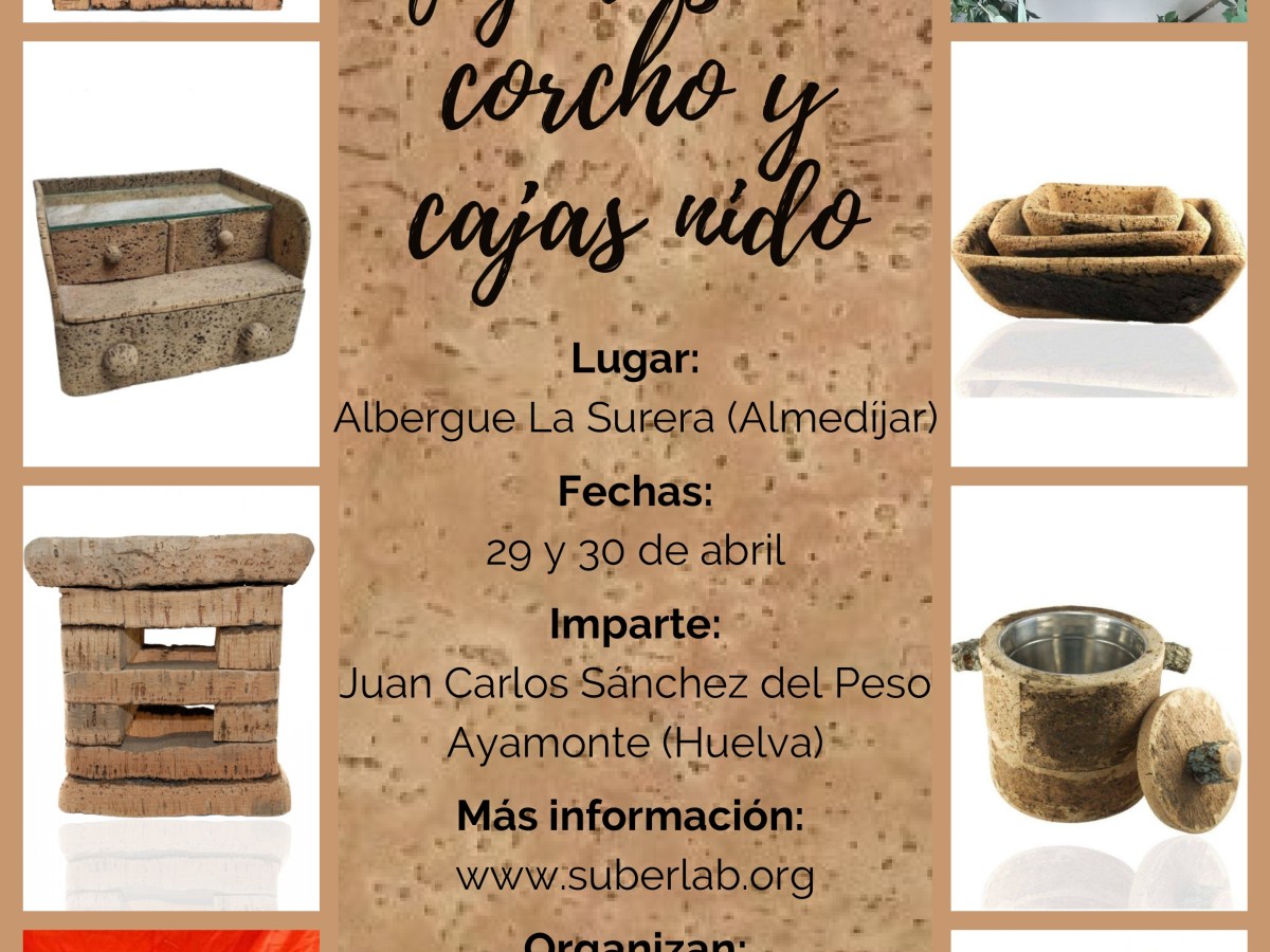 Segundo taller práctico