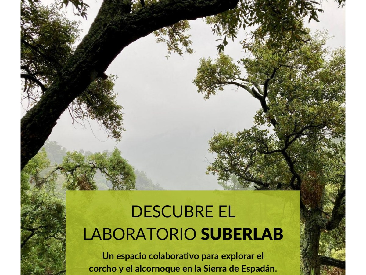 Laboratorio ciudadano en torno al corcho y los&nbsp;alcornoques
