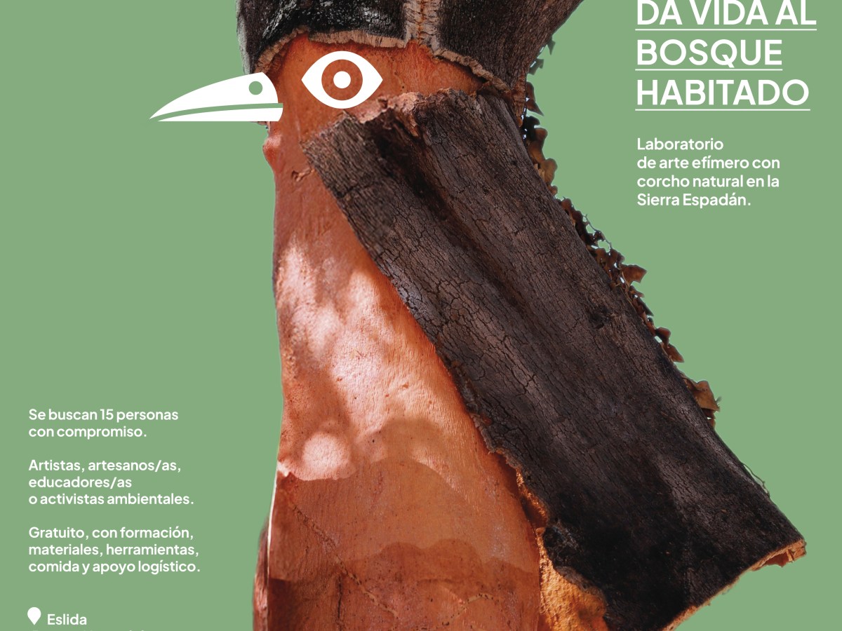 Cor de Suro lanza la convocatoria “Bosque Habitado”: un laboratorio creativo de arte efímero en la Sierra&nbsp;Espadán