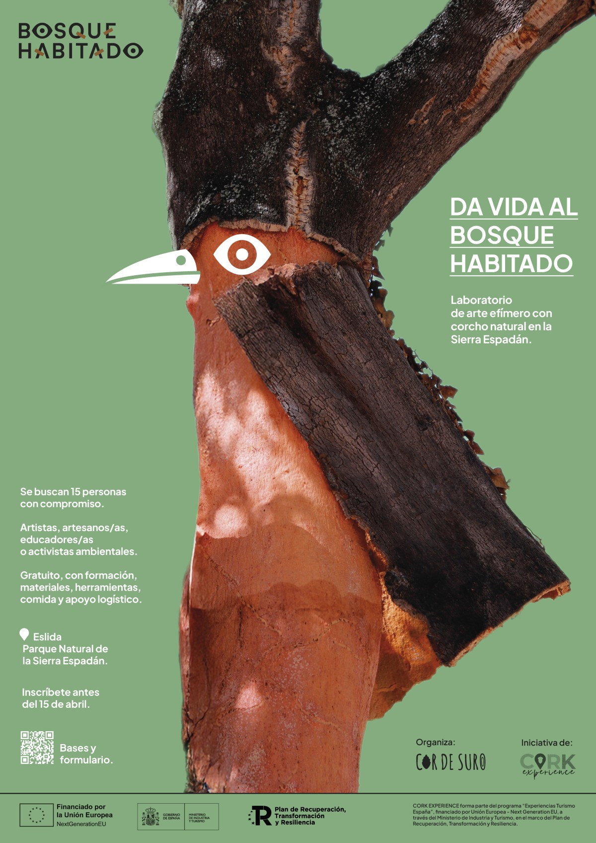 Cor de Suro lanza la convocatoria “Bosque Habitado”: un laboratorio creativo de arte efímero en la Sierra&nbsp;Espadán