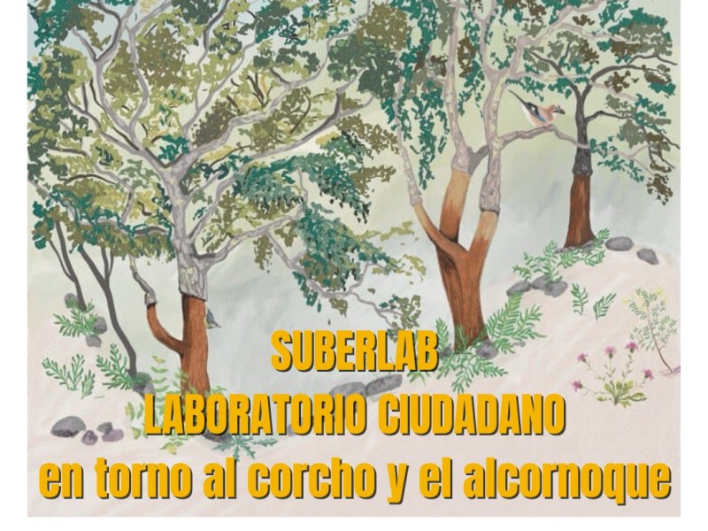 Convocatoria de colaboradores/as