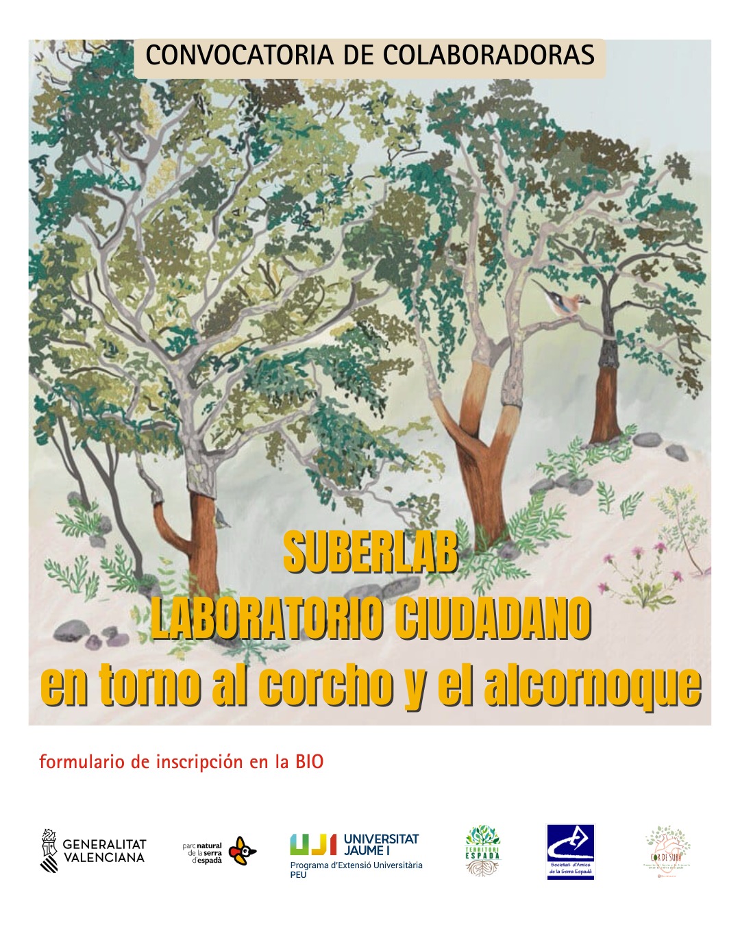 Convocatoria de colaboradores/as