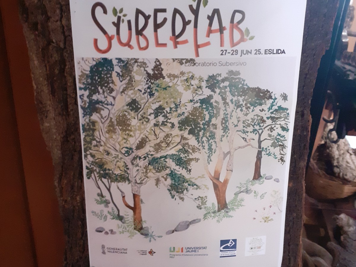 Vídeo resumen del laboratorio ciudadano&nbsp;«SuberLab»