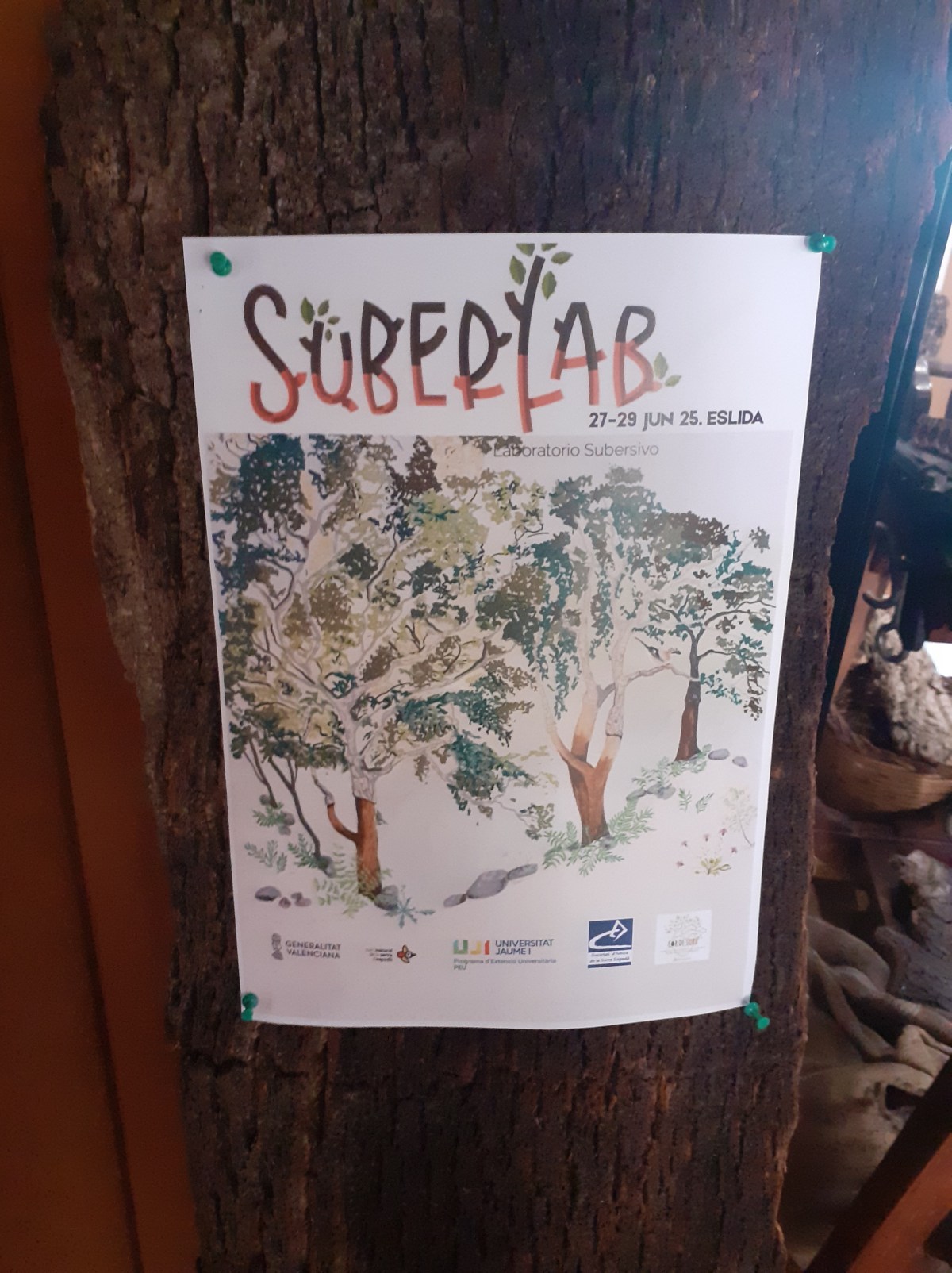 Vídeo resumen del laboratorio ciudadano&nbsp;«SuberLab»