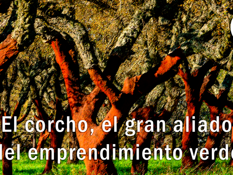 El corcho, el gran aliado del emprendimiento&nbsp;verde